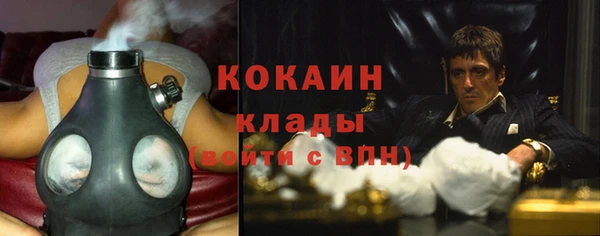 спайс Богданович