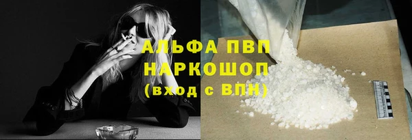 спайс Богданович