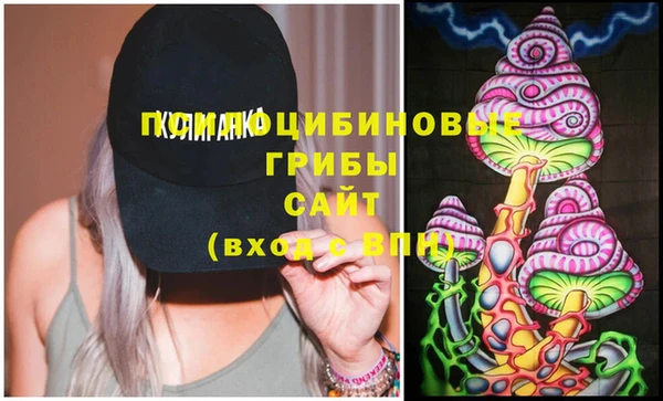 спайс Богданович