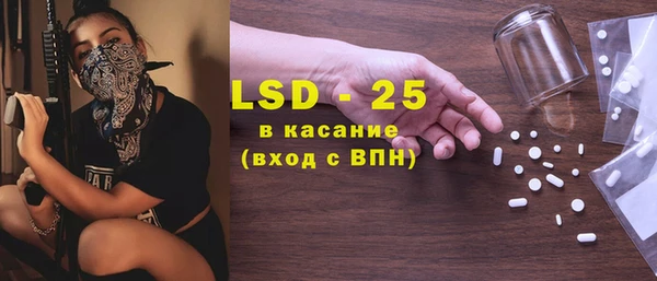 спайс Богданович