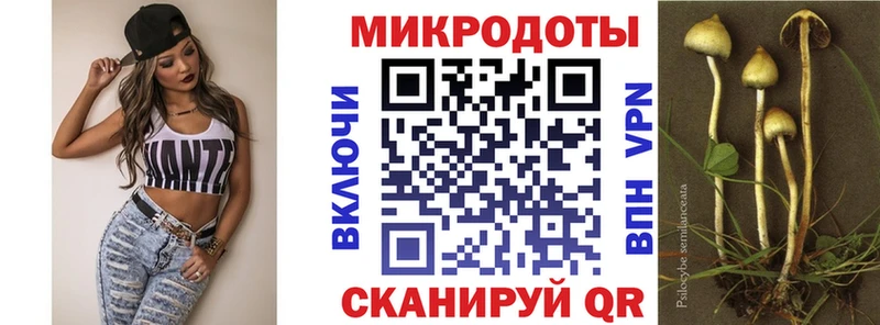 Галлюциногенные грибы Psilocybe  Ворсма 